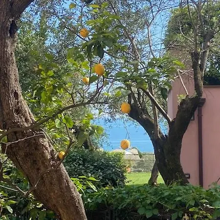 Lejlighed Tra Il E L'azzurro *